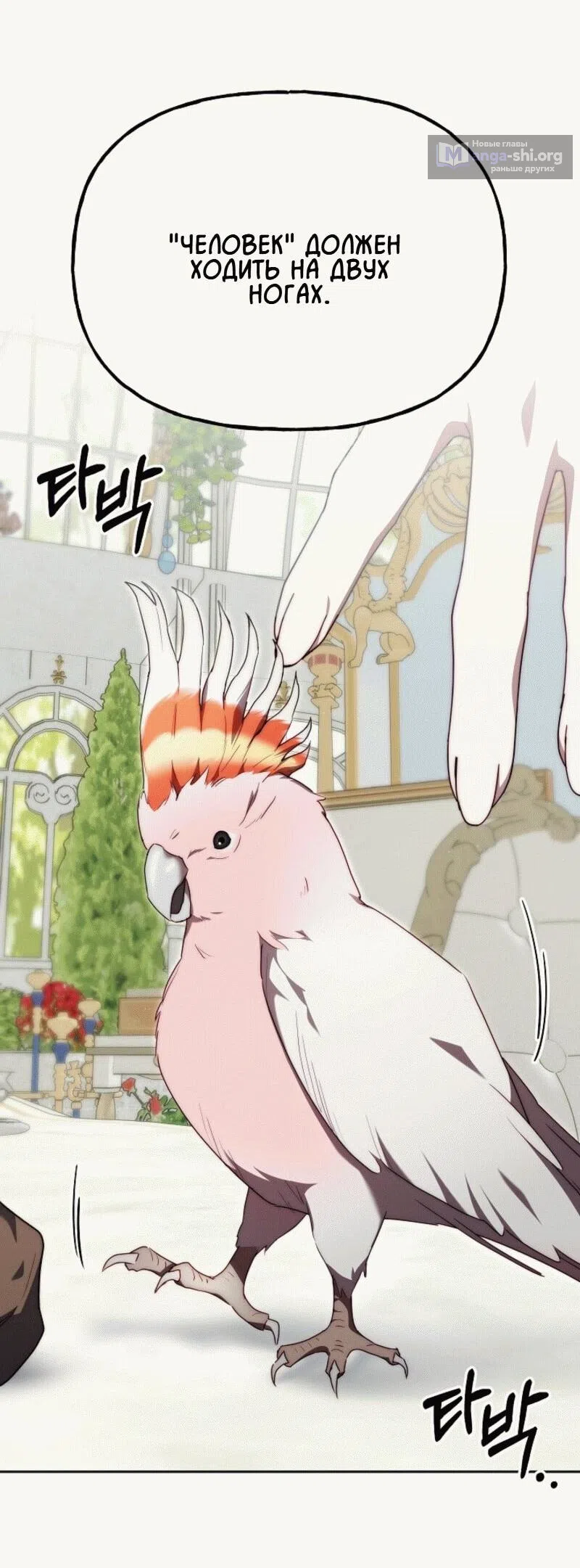 Страница 42 главы 12 манги Я приручила принца-монстра / Tamed the Monster Prince