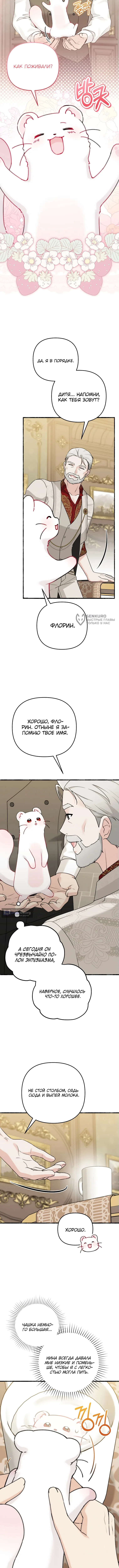 Страница 11 главы 5 манги Невестка злодея – прирождённая властительница / The Villain's Daughter-in-Law Is a Power Player