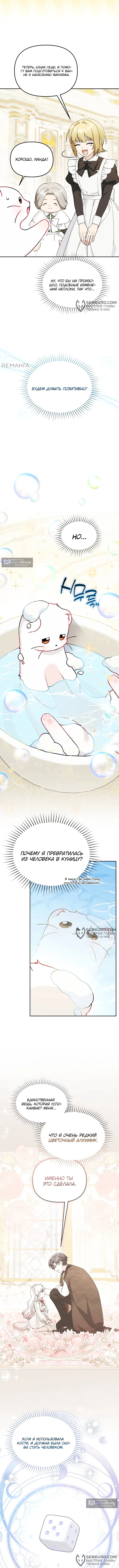 Страница 4 главы 24 манги Невестка злодея – прирождённая властительница / The Villain's Daughter-in-Law Is a Power Player