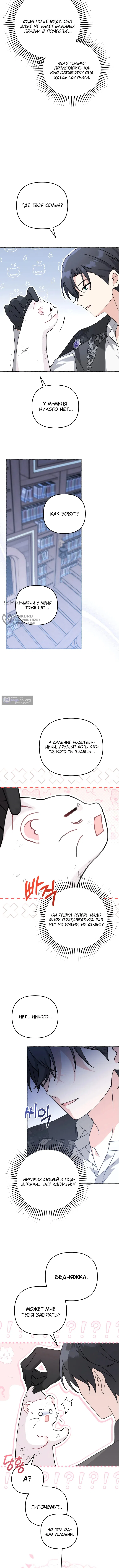 Страница 11 главы 1 манги Невестка злодея – прирождённая властительница / The Villain's Daughter-in-Law Is a Power Player