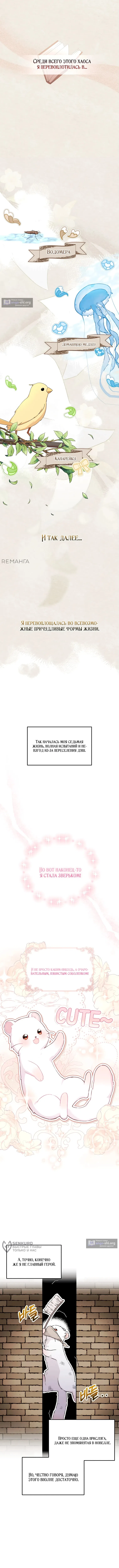 Страница 5 главы 0 манги Невестка злодея – прирождённая властительница / The Villain's Daughter-in-Law Is a Power Player