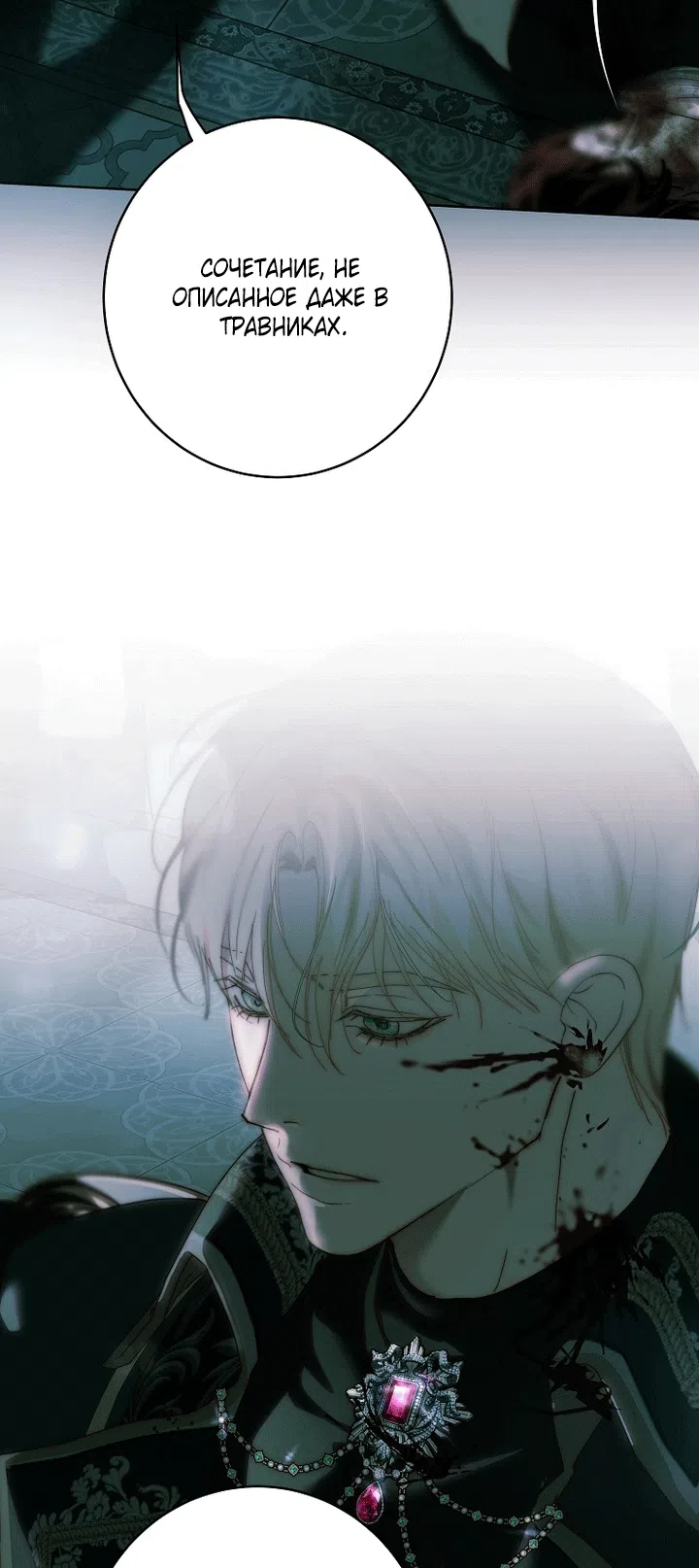 Страница 10 главы 30 манги Осколки разбитой хрустальной туфельки / Shards of a Broken Glass Slipper