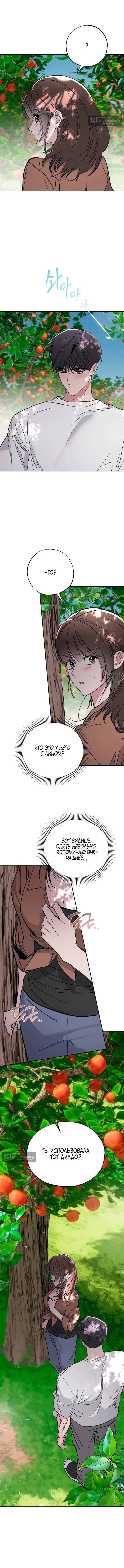 Страница 11 главы 3 манги Обстоятельства в саду / The Orchard's Circumstances