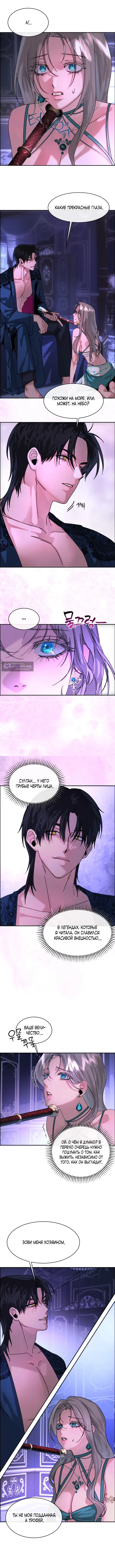 Страница 5 главы 2 манги Я стала трофеем султана / I Became the Sultan's Spoils