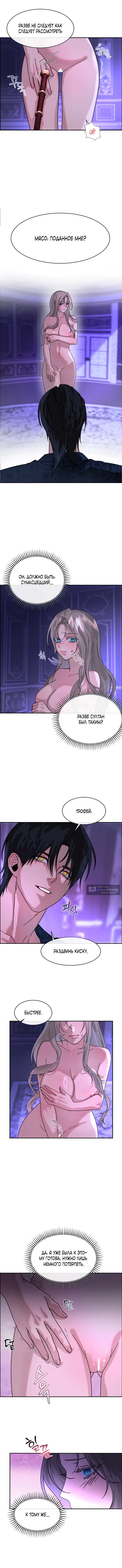 Страница 8 главы 2 манги Я стала трофеем султана / I Became the Sultan's Spoils