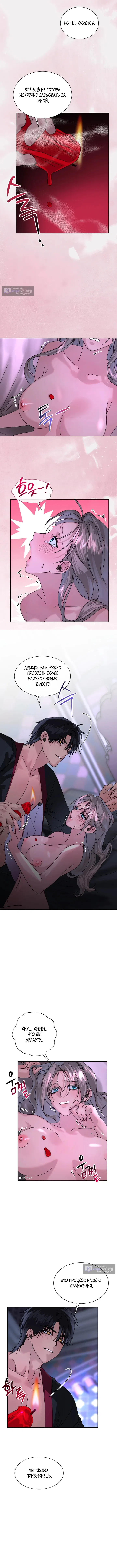 Страница 8 главы 5 манги Я стала трофеем султана / I Became the Sultan's Spoils