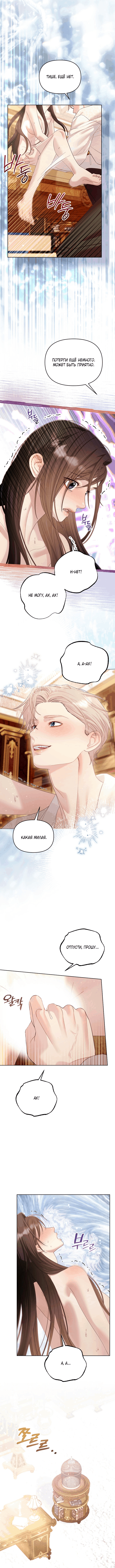 Страница 12 главы 17 манги Клетка коллекционера / Collector's Cage