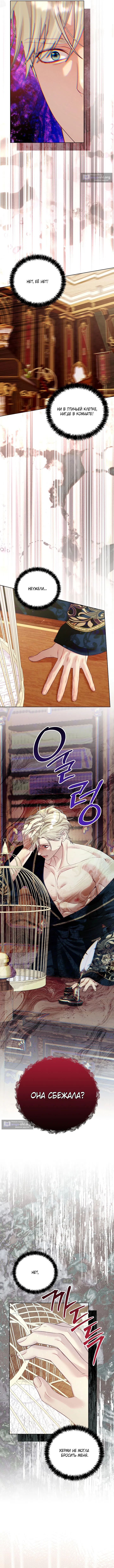 Страница 9 главы 11 манги Клетка коллекционера / Collector's Cage