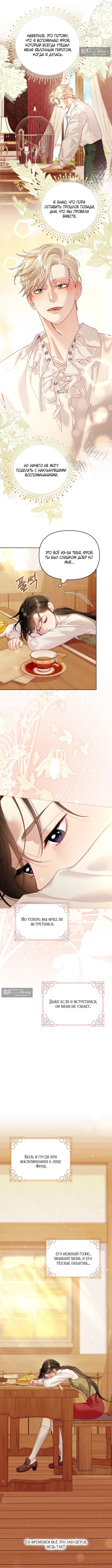 Страница 13 главы 11 манги Клетка коллекционера / Collector's Cage