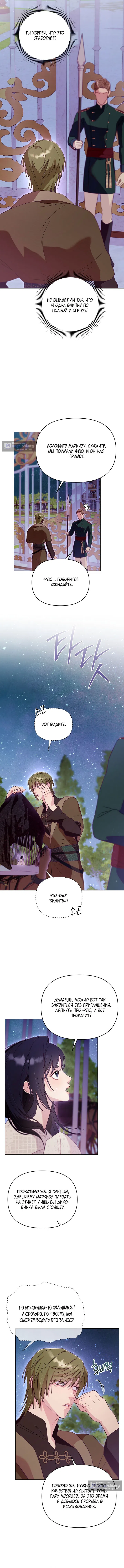 Страница 13 главы 1 манги Клетка коллекционера / Collector's Cage