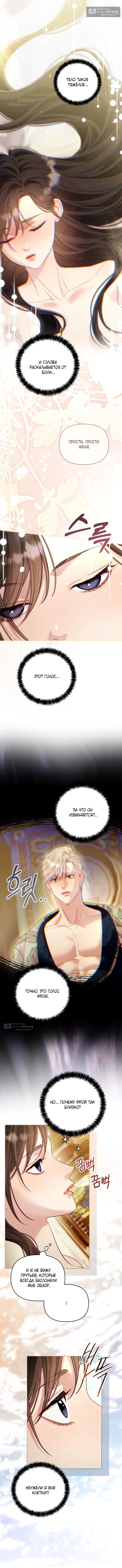 Страница 6 главы 10 манги Клетка коллекционера / Collector's Cage