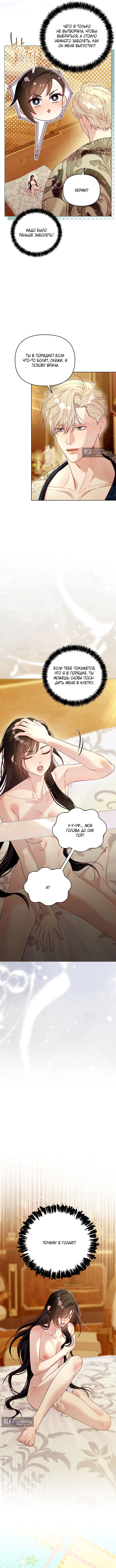 Страница 7 главы 10 манги Клетка коллекционера / Collector's Cage