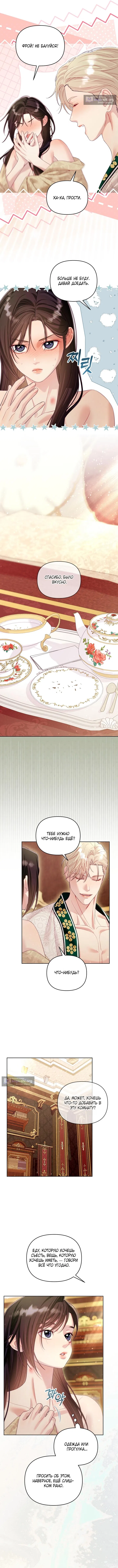 Страница 6 главы 16 манги Клетка коллекционера / Collector's Cage