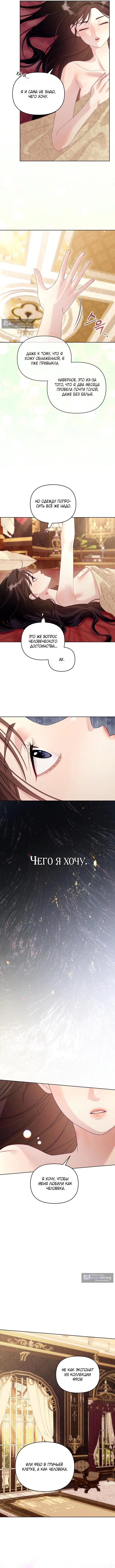 Страница 9 главы 16 манги Клетка коллекционера / Collector's Cage