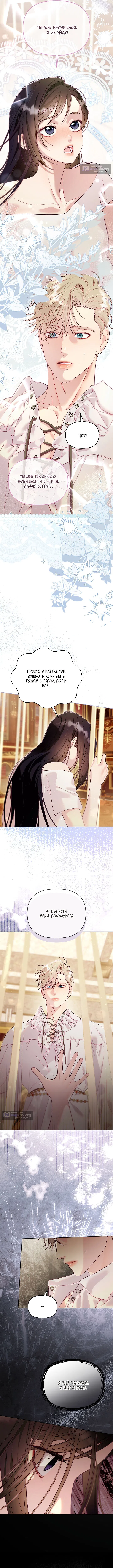 Страница 5 главы 9 манги Клетка коллекционера / Collector's Cage