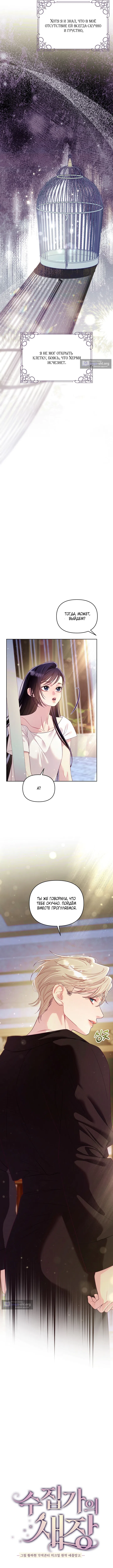 Страница 6 главы 6 манги Клетка коллекционера / Collector's Cage