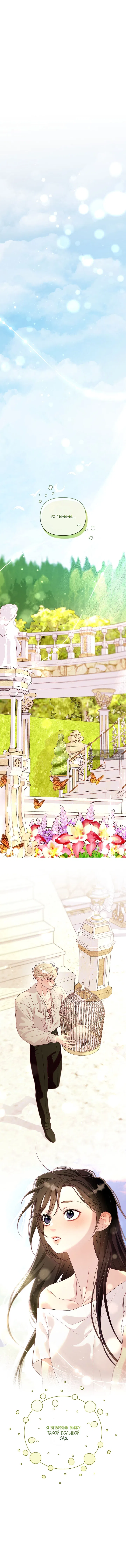 Страница 7 главы 6 манги Клетка коллекционера / Collector's Cage