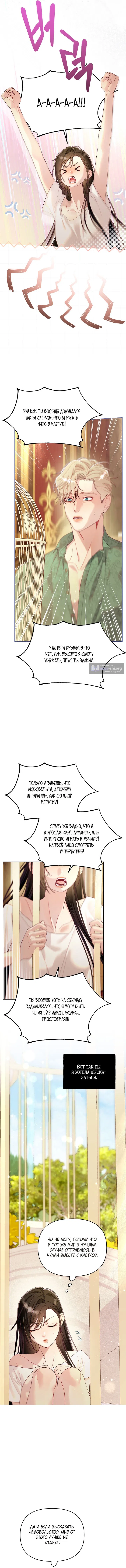 Страница 11 главы 6 манги Клетка коллекционера / Collector's Cage