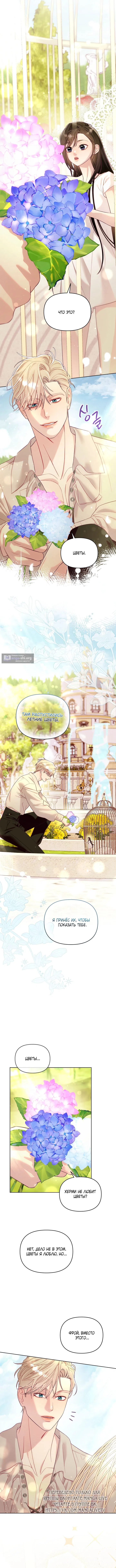 Страница 13 главы 6 манги Клетка коллекционера / Collector's Cage
