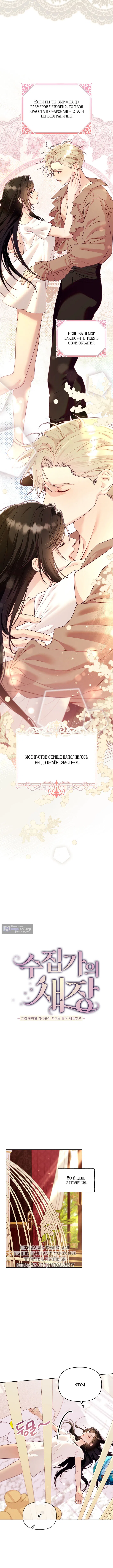 Страница 6 главы 7 манги Клетка коллекционера / Collector's Cage