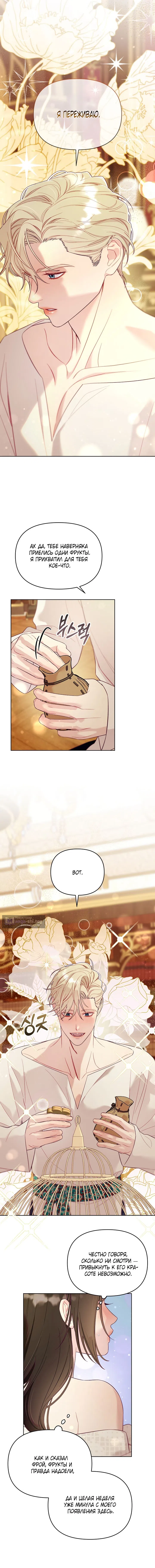 Страница 5 главы 4 манги Клетка коллекционера / Collector's Cage