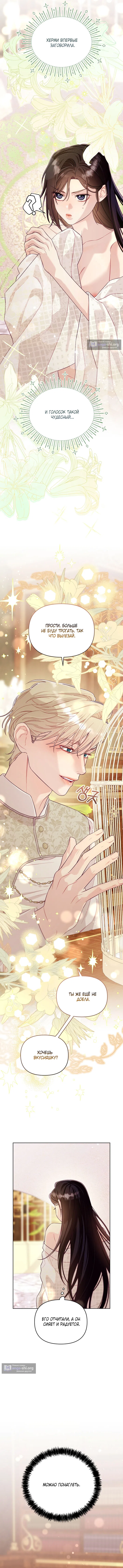 Страница 6 главы 5 манги Клетка коллекционера / Collector's Cage