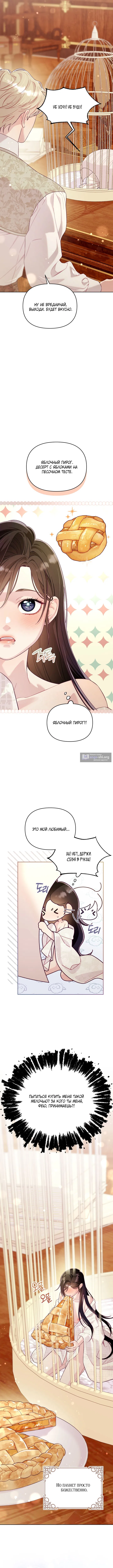 Страница 7 главы 5 манги Клетка коллекционера / Collector's Cage