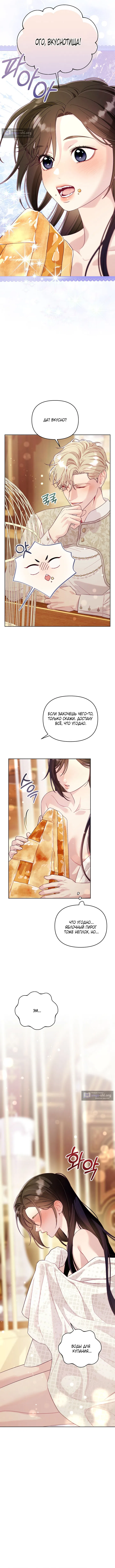 Страница 8 главы 5 манги Клетка коллекционера / Collector's Cage