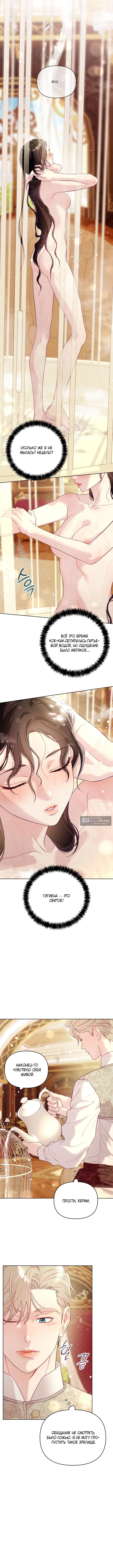 Страница 12 главы 5 манги Клетка коллекционера / Collector's Cage