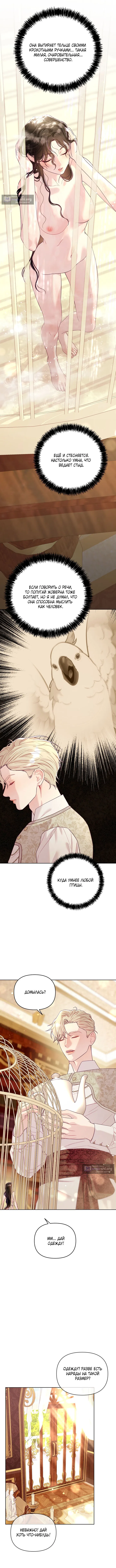 Страница 13 главы 5 манги Клетка коллекционера / Collector's Cage