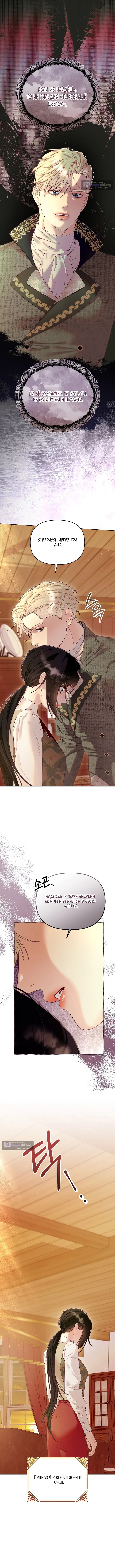 Страница 6 главы 12 манги Клетка коллекционера / Collector's Cage