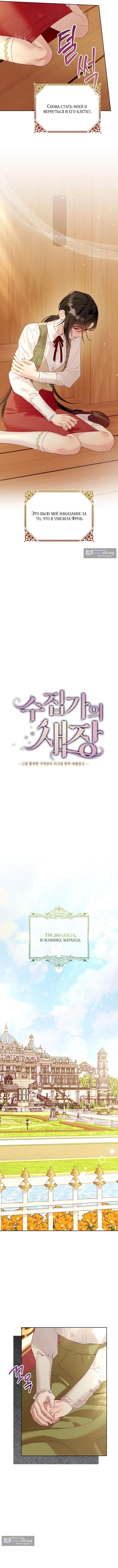 Страница 7 главы 12 манги Клетка коллекционера / Collector's Cage