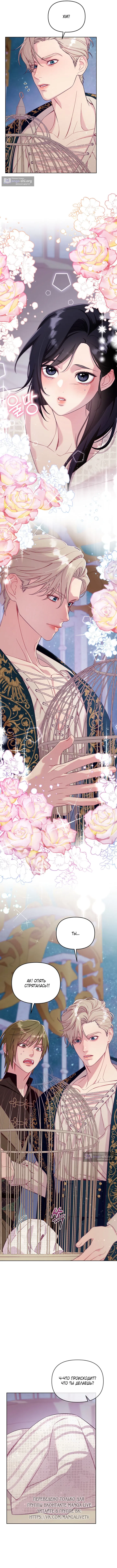 Страница 4 главы 2 манги Клетка коллекционера / Collector's Cage