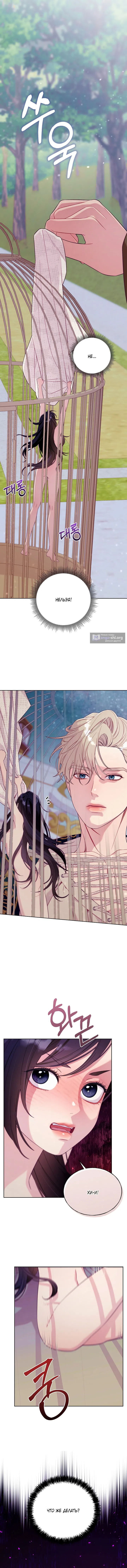 Страница 7 главы 2 манги Клетка коллекционера / Collector's Cage