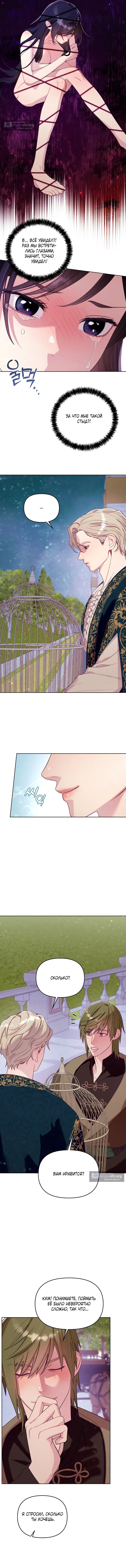 Страница 8 главы 2 манги Клетка коллекционера / Collector's Cage