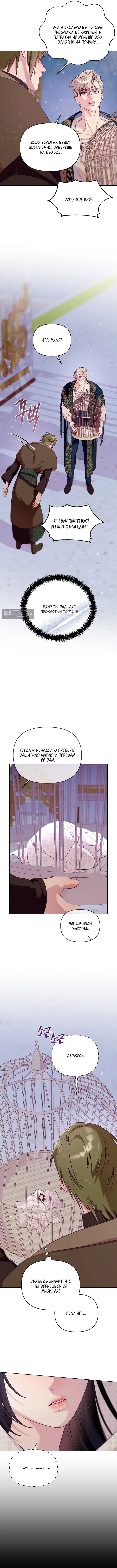Страница 9 главы 2 манги Клетка коллекционера / Collector's Cage