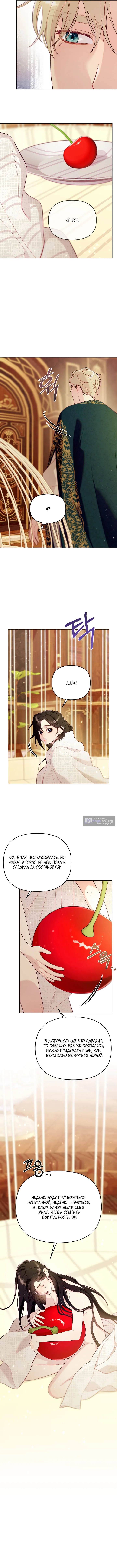 Страница 12 главы 2 манги Клетка коллекционера / Collector's Cage