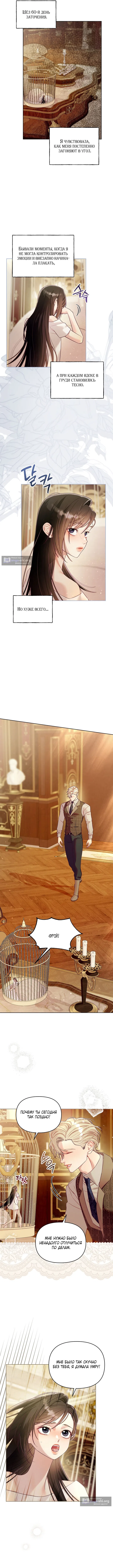 Страница 5 главы 8 манги Клетка коллекционера / Collector's Cage