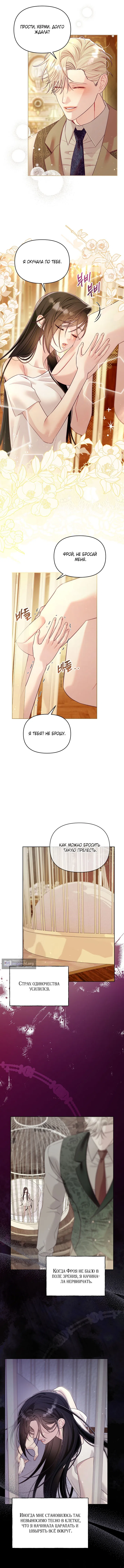 Страница 6 главы 8 манги Клетка коллекционера / Collector's Cage