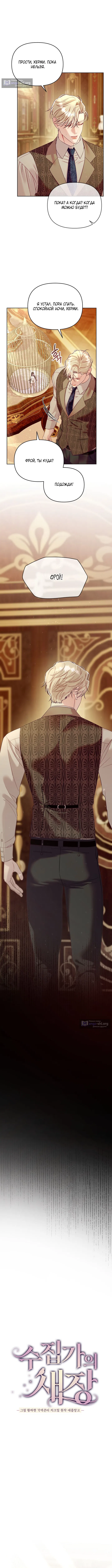 Страница 9 главы 8 манги Клетка коллекционера / Collector's Cage