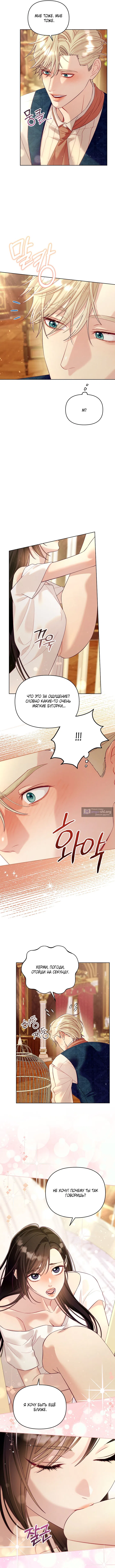 Страница 13 главы 8 манги Клетка коллекционера / Collector's Cage