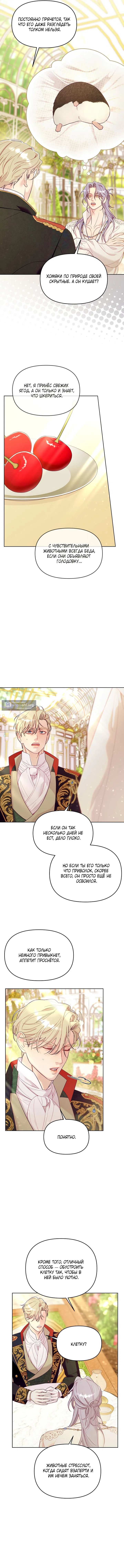 Страница 5 главы 3 манги Клетка коллекционера / Collector's Cage