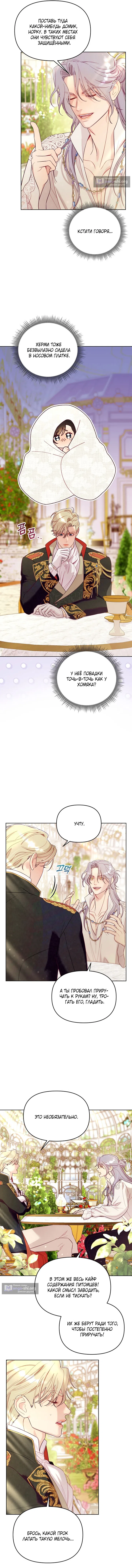 Страница 6 главы 3 манги Клетка коллекционера / Collector's Cage