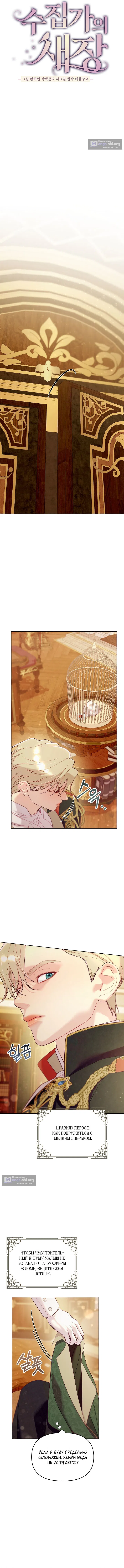 Страница 9 главы 3 манги Клетка коллекционера / Collector's Cage