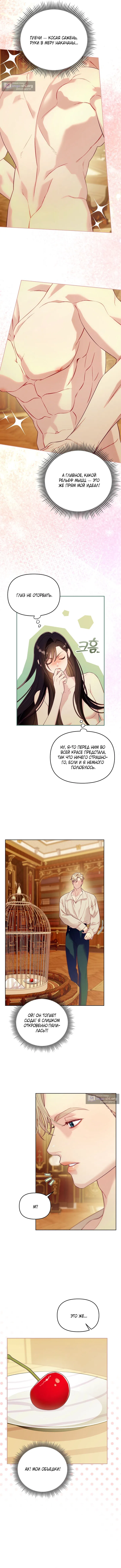 Страница 11 главы 3 манги Клетка коллекционера / Collector's Cage