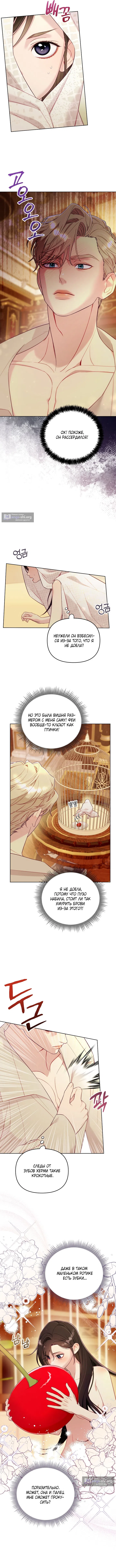 Страница 12 главы 3 манги Клетка коллекционера / Collector's Cage