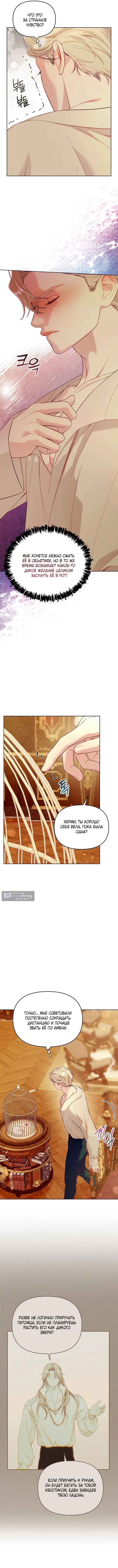 Страница 13 главы 3 манги Клетка коллекционера / Collector's Cage