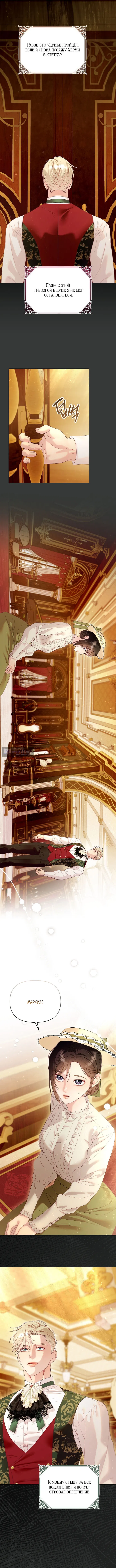 Страница 5 главы 13 манги Клетка коллекционера / Collector's Cage