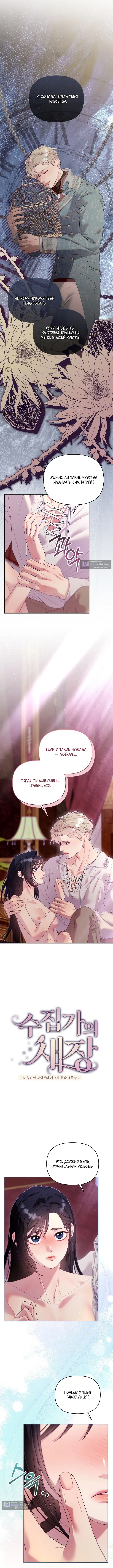 Страница 7 главы 13 манги Клетка коллекционера / Collector's Cage