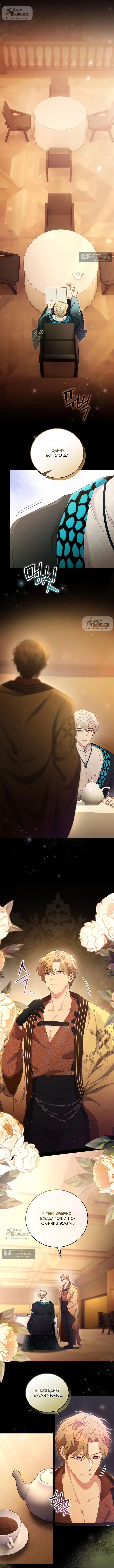 Страница 5 главы 11 манги Башня грёз и бессонная бабочка / The Dream Brothel and the Sleepless Butterfly